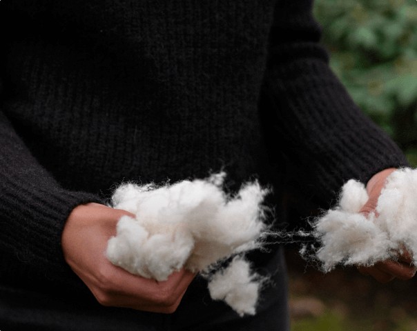 personne tenant du coton frais dans ses mains